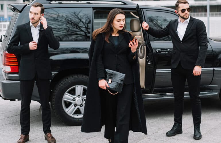 Professional Security