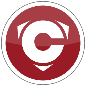 Security Professionals